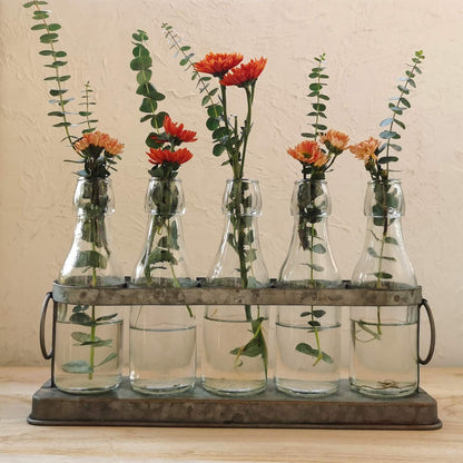 Charming Rustic 5 Glass Bud Vase Set for Hydroponics - Perfect for Home, Garden, Weddings & Farmhouse Decor