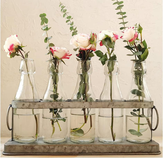 Charming Rustic 5 Glass Bud Vase Set for Hydroponics - Perfect for Home, Garden, Weddings & Farmhouse Decor