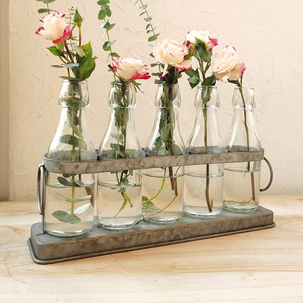Charming Rustic 5 Glass Bud Vase Set for Hydroponics - Perfect for Home, Garden, Weddings & Farmhouse Decor